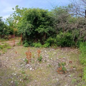 Земельный участок, товарищество Гудок